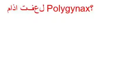 ماذا تفعل Polygynax؟